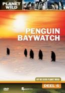 Penguin baywatch - DVD, Verzenden, Nieuw in verpakking