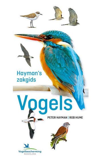 Haymans zakgids vogels - Peter Hayman 9789043925396, Boeken, Verzenden, Gelezen, Peter Hayman