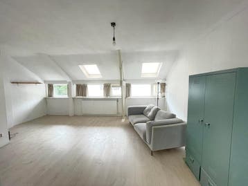 Te huur: Appartement Wilhelminapark in Haarlem, Noord-Holland, Appartement, Haarlem