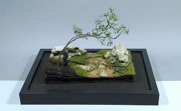 rkodzieo - Diorama Nadchodzi Deweloper – One of a Kind