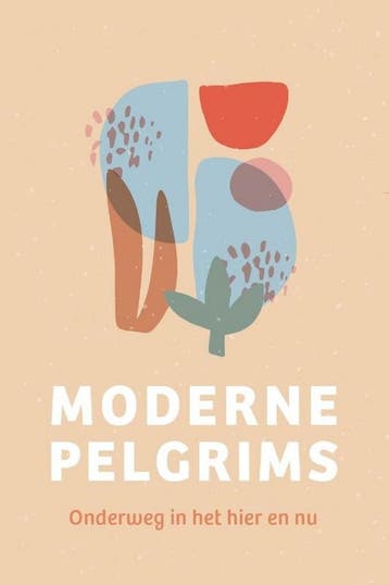 Moderne pelgrims - Elze Riemer 9789493198234, Verzenden, Zo goed als nieuw, Elze Riemer
