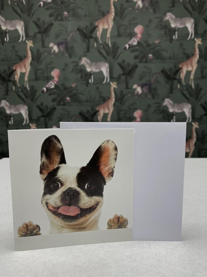 Cadeaubon €50,- (Hond), Dieren en Toebehoren, Honden-accessoires, Nieuw, Ophalen of Verzenden