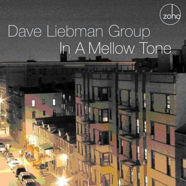 cd - David Liebman Group - In A Mellow Tone, Cd's en Dvd's, Cd's | Overige Cd's, Zo goed als nieuw, Verzenden