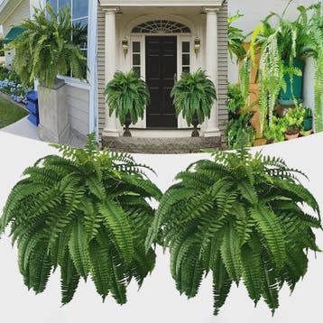 Kunstplant Boston Varen - Levenssechte Kunstvaren, UV-besten, Huis en Inrichting, Verzenden