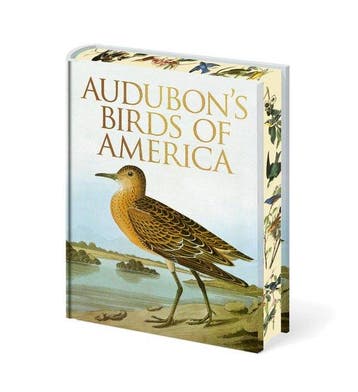 9781398850866 Arcturus Epic Classics - Audubons Birds of..., Verzenden, Nieuw, John James Audubon
