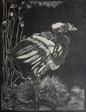 Jan Mankes (1889-1920) - Nestkuiken, Antiek en Kunst