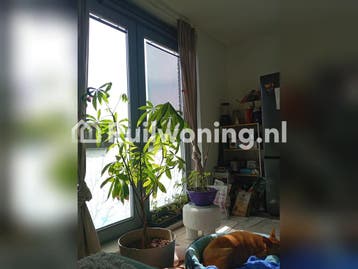 Flat van 45 m² in IJmuiden (Hoogheemraadschap van Rijnland), Huizen en Kamers