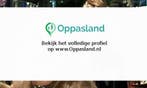 Ik ben Laura, 20 jaar oud en ik zoek oppaswerk in Maastri...