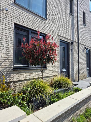 Huis te huur/Expat Rentals aan Stijging in Eindhoven, Tussenwoning, Noord-Brabant