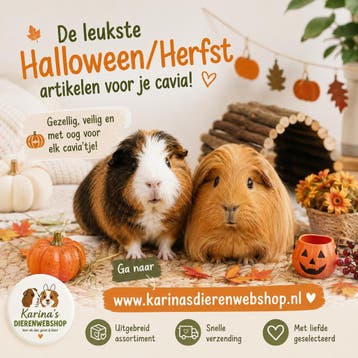 De HALLOWEEN - HERFST SHOP voor je cavia, Ophalen of Verzenden, Nieuw, Overige typen