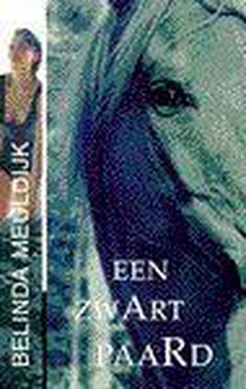 ZWART PAARD 9789032506728 B. Meuldijk, Boeken, Verzenden, Gelezen, B. Meuldijk