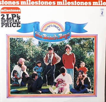 The Beach Boys - Sunflower / Surfs Up (LP), Ophalen of Verzenden, Gebruikt
