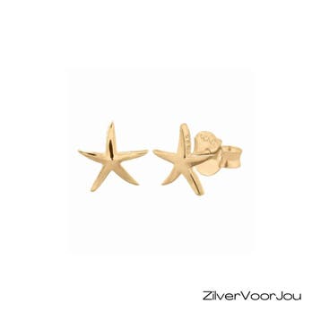 Zilveren zeester oorknopjes  zilver en gold plated, Verzenden, Nieuw, Zilver