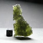 egel Moldavite - 13.82 g