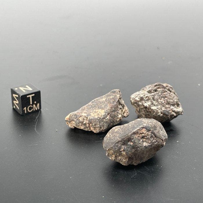 Pack !!! Meteoriet NWA 869, legendarische val Type L3-6 - 25, Verzamelen, Mineralen en Fossielen