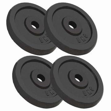 vidaXL Halterschijven 4 st 4x5 kg gietijzer, Verzenden, Nieuw