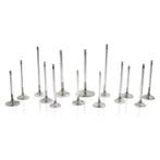 Ferrea Ford Voodoo 5.2L 1.28in 4.325in 21 Deg Taper Flo 3, Ophalen of Verzenden, Nieuw