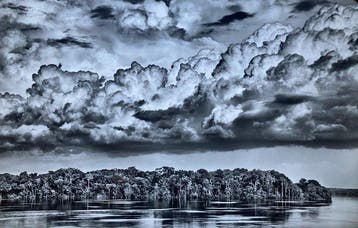 Sebastião Salgado (1944-2025) - Taschen - Amazonia. Paraná