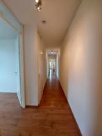 Te huur: Appartement Willem Beukelszstraat in Rotterdam, Appartement, Rotterdam, Zuid-Holland