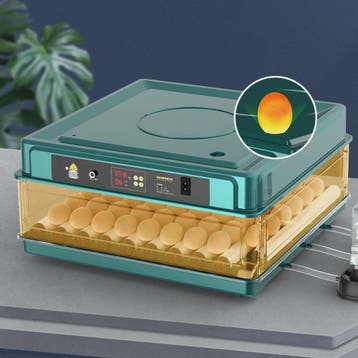 Automatische Broedmachine voor Kippen, Ganzen, Vogels & Kwar, Verzenden, Nieuw