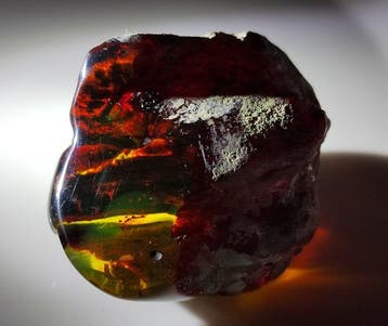 Mexicaanse Amber Chiapas!! AAA Gratis verzending!- 35.45 g