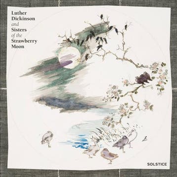 cd - Luther Dickinson - Solstice, Verzenden, Zo goed als nieuw