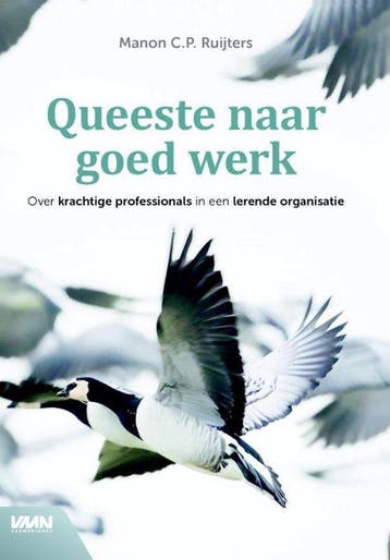 9789462762497 Queeste naar goed werk | Tweedehands, Verzenden, Zo goed als nieuw, Manon C.P. Ruijters