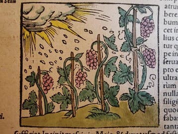 Sebastian Münster (1489–1552) - Cosmographia Universalis -