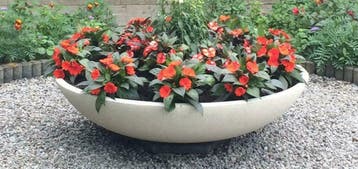 Grote ronde plantenschalen - plantenschaal, Ophalen of Verzenden, Nieuw