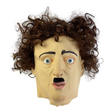 Man masker bruine haren met snor (Allan Poe / Ron Jeremy), Kleding | Dames, Verzenden, Nieuw