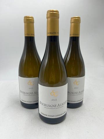 2022 Domaine Sylvain Cathiard & Fils - Bourgogne Aligoté - -, Nieuw