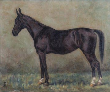 Nederlandse school (XX) - Paard