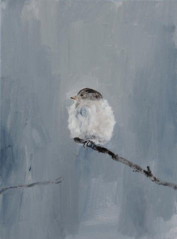 Matthieu van Riel - Bird on a Branch