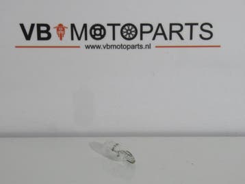 Lamp T10 6V 3W, Motoren, Ophalen of Verzenden, Nieuw