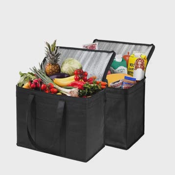 Extra Grote Koeltas 31L - Ideaal voor Lunch, Camping, Pickni, Verzenden, Nieuw