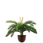 Cycas kunstplant, H70cm, Ophalen of Verzenden, Palm, Minder dan 100 cm