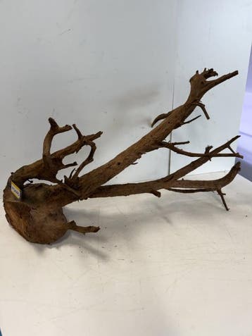 Fine Sinking Wood Selected  FS445  95X55X47cm, Ophalen of Verzenden, Nieuw, Plant(en), Steen of Hout