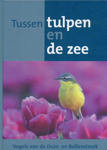 Tussen tulpen en de zee - Peter Spierenburg 9789080530805, Verzenden, Zo goed als nieuw, Peter Spierenburg