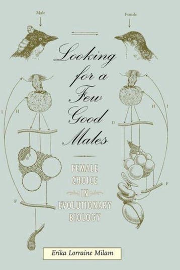 Looking For A Few Good Males - Erika L Milam 9781421404028, Verzenden, Gelezen, Erika L Milam