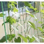 Gardlov Versterkt groen net voor verticale groei klimplan..., Ophalen of Verzenden, Nieuw