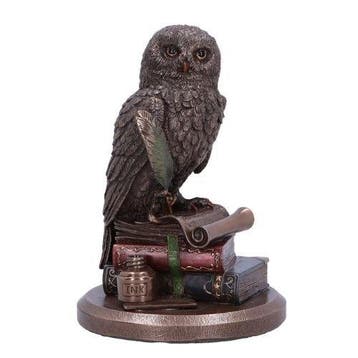 sculptuur, An Owls Tale Bronze Effect Sculpture – Wise Owl
