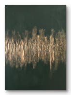 Nicole Lubbers - Open hart, Antiek en Kunst