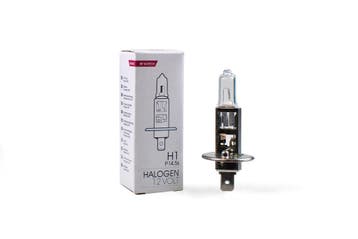 M-Tech H1 12V 55W - Basic - Helder - 10 stuks, Verzenden, Nieuw, Maserati