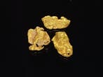 De zeldzame gouden parel uit Lapland Goud nuggets- 0.5 g -