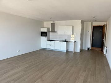 Te huur: Studio Omegaplantsoen in Leiden, Leiden, Zuid-Holland