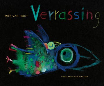 Verrassing | Mies Hout | Nieuw, Boeken, Ophalen of Verzenden, Nieuw, Mies Hout