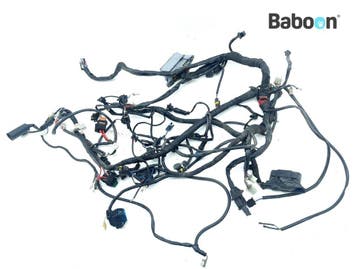 Kabelboom Moto Guzzi Stelvio 1200 NTX 2009-2011 (883224), Verzenden, Gebruikt