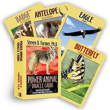 Power Animals Oracle Cards, Verzenden, Nieuw