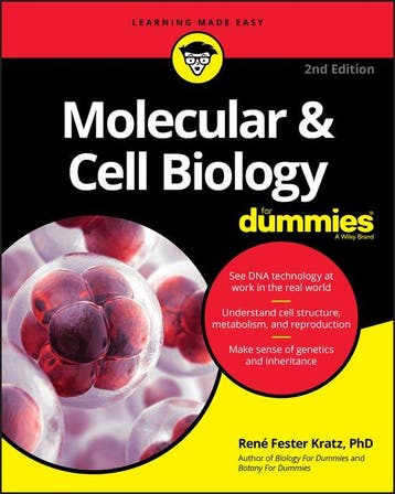9781119620402 Molecular  Cell Biology For Dummies, Verzenden, Gelezen, Rene Fester Kratz