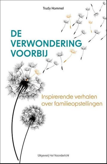 9789083344775 De verwondering voorbij Trudy Hommel, Boeken, Verzenden, Nieuw, Trudy Hommel